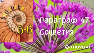 Биология 6 класс (Пасечник) 6 класс аудио Параграф 47 «Соцветия»