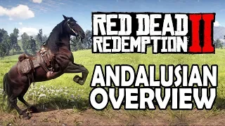 Andalusian Overview | Red Dead Redemption 2 Horses