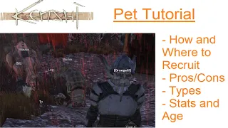 Kenshi Tutorials - How to Recruit Pets, Different Types, and Pros/Cons