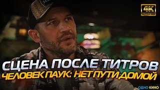 Человек-паук: Нет пути домой (2021) Сцена после титров