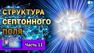 Септонное поле l Часть 11 | ИСКОННАЯ ФИЗИКА АЛЛАТРА