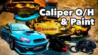 Candy Paint + Brembo Caliper Restoration / Subaru WRX STi (Part 1)