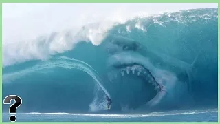 What If Megalodon Sharks Didn't Go Extinct?