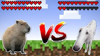Capybara vs Borzoi dog(let me do it for you)! Meme battle