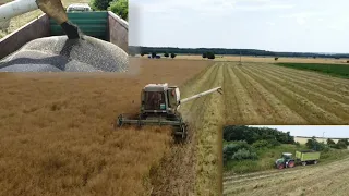 Repce aratás! 2022 Canola harvest! | FORTSCHRITT E 514, FENDT 412+ átalakított Oelher |