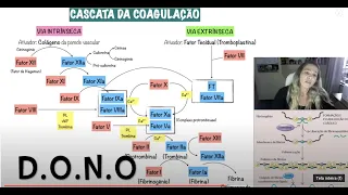 Hemostasia Secundária - Cascata da Coagulação