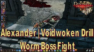 Divinity Original Sin 2 Definitive Edition Chapter 2 Alexander Voidwoken DrillWorm boss fight