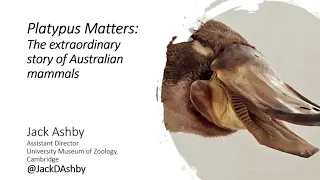 Australian Mammals: Jack Ashby