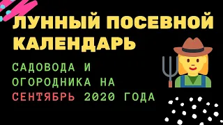 Лунный посевной календарь садовода и огородника на сентябрь 2020 года