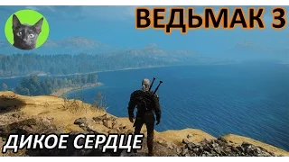 Ведьмак 3 - Продолжение квеста - Дикое сердце