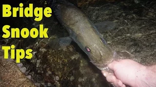 How to Catch Snook from a Bridge ft. Tom Lewis (Tackle Tuesday #8)