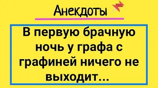 Анекдоты! Граф, Графиня и Трудности! Сборник Супер Анекдотов! Юмор и Смех!