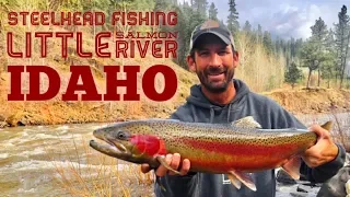 Steelhead Fishing Idaho (The Little Salmon River)