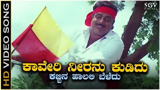 Kaveri Neeranu Kudidu - HD Video Song - Mandyada Gandu | Ambarish | Megha | SPB, Sangeetha Katti