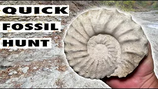 Quick Fossil Hunt for Ammonite fossils in a North Texas Creek - Oct 2023 #fossilhunting