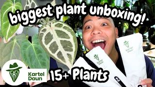 😮 Kartel Daun Unboxing!!! New Plants 💚 you have to see these ANTHURIUMS 🌱