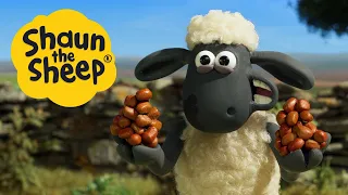 Shaun the Sheep Season 6 (Clip) | Squirrelled Away