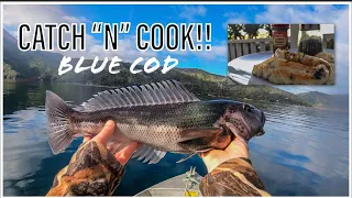 CATCH “N” COOK - Monster Blue Cod Fishing Off The Dinghy!!