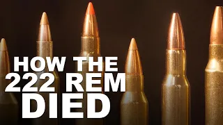 Cartridges That Killed the 222 Remington