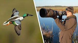 Can I Hand-hold this BIG LENS for Birds in Flight Photography? (Total of 700mm)