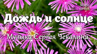 Дождь и солнце - Музыка Сергея Чекалина. Красивая мелодия. Музыка для души