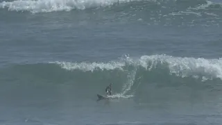 REMOTE CONTROL SURFER RIPPING THE WAVES IN DOMINICAN REPUBLIC RC SURFING