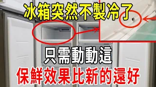 冰箱突然無法製冷，可能是這裡出問題了！不用請師傅，只需動動這，保鮮效果比新的還好！【圍裙媽媽】