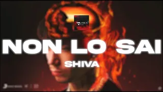 NON LO SAI • Testo/Lyrics • SHIVA