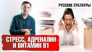 СТРЕСС, АДРЕНАЛИН и ВИТАМИН В1 (русские субтитры)