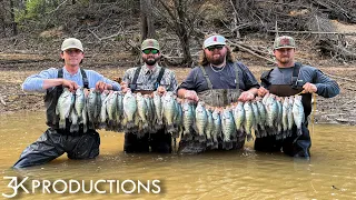 5 Limits Without Moving Our Feet | Wading For Mississippi Crappie