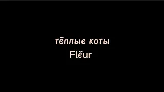 Тёплые коты-Flëur /текст песни/