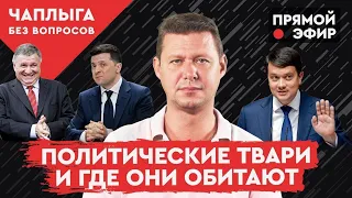 ЧАПЛЫГА ОТВЕЧАЕТ: Сенсация! На украинском политическом поле обнаружены Нюхли!