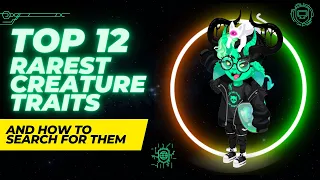 Top 12 Rarest NFT Traits | Searching HighRise Creature Guide