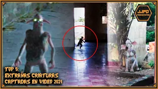 Top 5 Mysterious and Strange Creatures Caught on Camera - Mythical creatures - goblins 2021