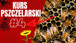 Nastroje rojowe pszczół - przyczyny i zapobieganie - Wykład #4