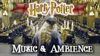 🧙 Great Hall Music & Ambience ⚡ Harry Potter Dumbledore Speaking Dining Hall ASMR