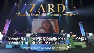 ZARD “What a beautiful memory ～軌跡～” SPOT