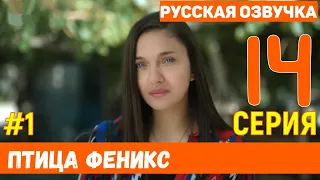 Птица Феникс 14 серия русская озвучка (фрагмент №1)