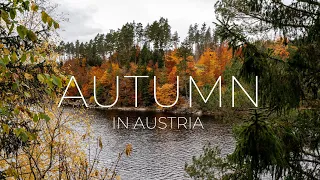 Autumn in Austria is beautiful | MintyMinnie