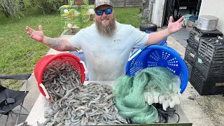 Thousands of Shrimp in my Cast Net (Catch, Clean, Fry) Give Away Announcement