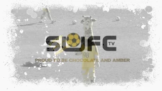 SUFCtv: Match Highlights Sutton United 1 Bath City 0 : FA Trophy 10/12/16