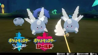 【ポケモン剣盾】サニーゴとキャンプ【ポケモンソードシールド】