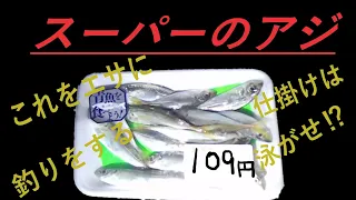 【アジ】スーパーで買った豆アジを泳がせの仕掛けで釣る⁉