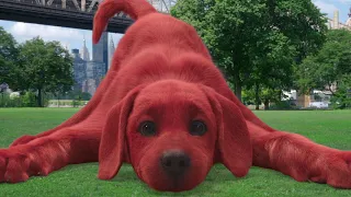 Clifford the Big Red Dog's INTERVIEW