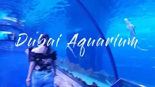 Dubai aquarium - one of the largest and most stunning aquariums in the world