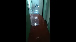 VÍDEO: Chuva alaga ruas e casas em Ouro Branco