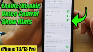 iPhone 13/13 Pro: How to Enable/Disable Voice Control Show Hints