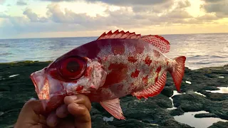 Āweoweo (Bigeye) Danger Fishing With Owen Hernando & Strike ! | Catch Clean Cook