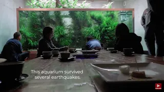 The aquarium at Takashi Amano home