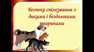 БЕЗПЕКА СПІЛКУВАННЯ З ДИКИМИ ТА СВІЙСКИМИ ТВАРИНАМИ